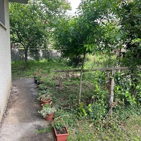 Wanderlust Per Chi Ama La Natura *