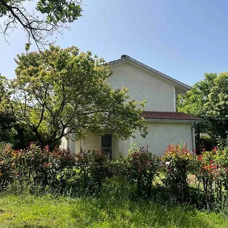 Wanderlust Per Chi Ama La Natura *